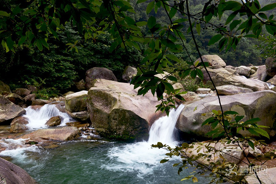 DSC_6870.jpg