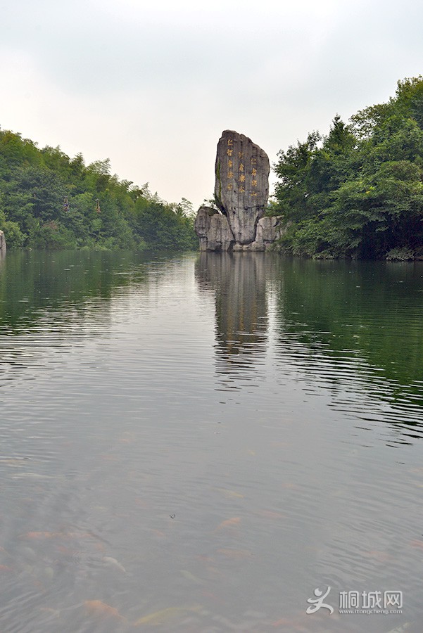 DSC_6945.jpg