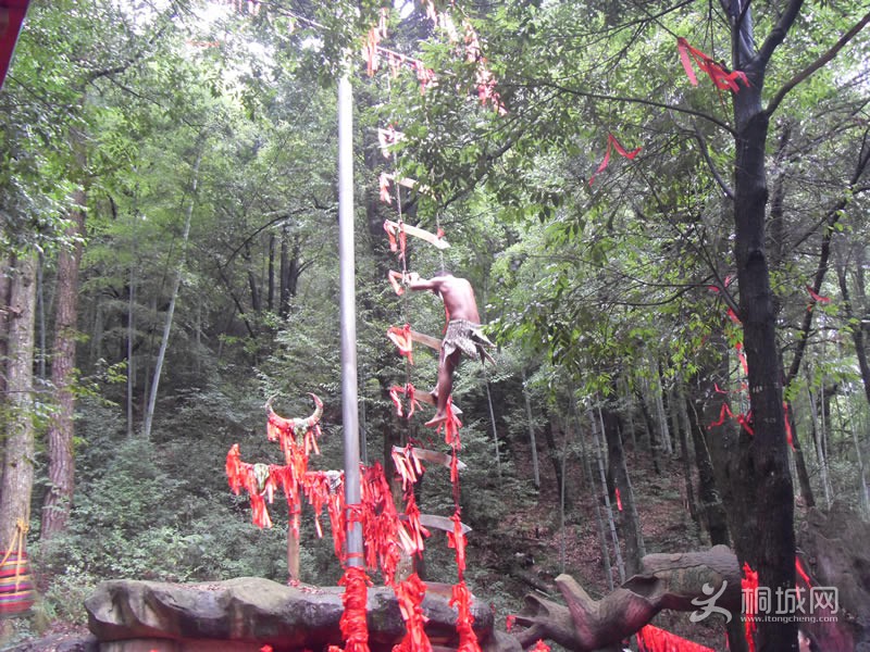 SDC10758.jpg
