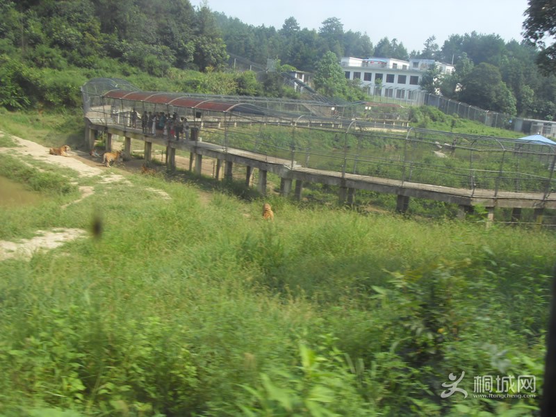 SDC10764.jpg