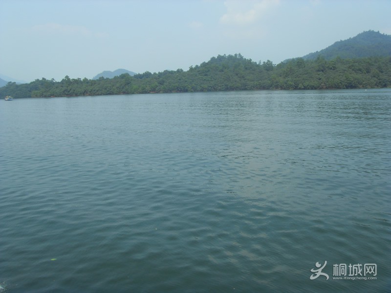SDC10782.jpg