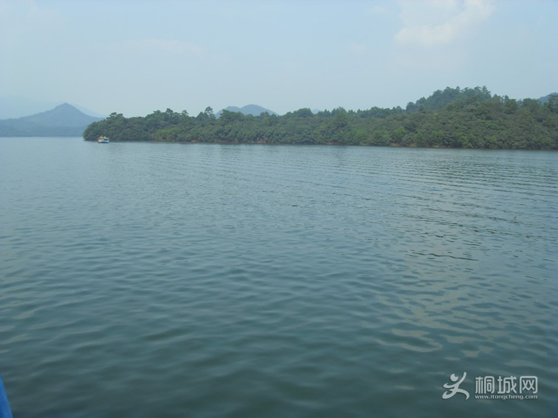 SDC10784.jpg