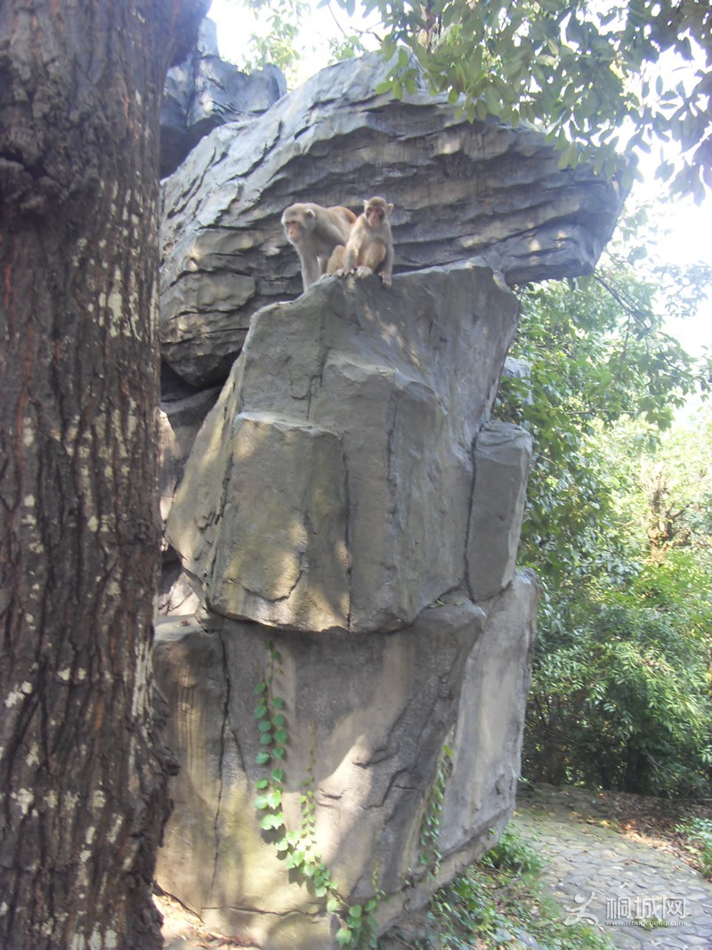 SDC10789.jpg