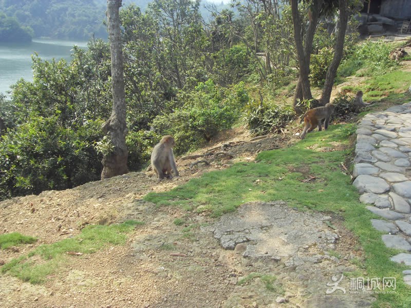 SDC10792.jpg