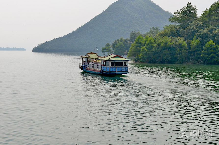 DSC_7198.jpg