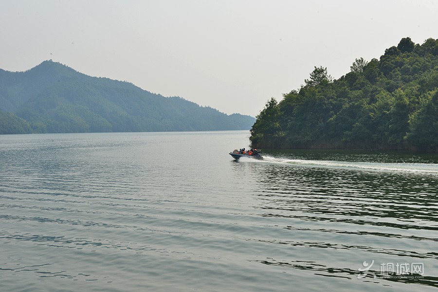 DSC_7318.jpg