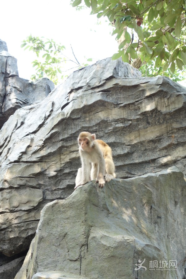 DSC00312.jpg