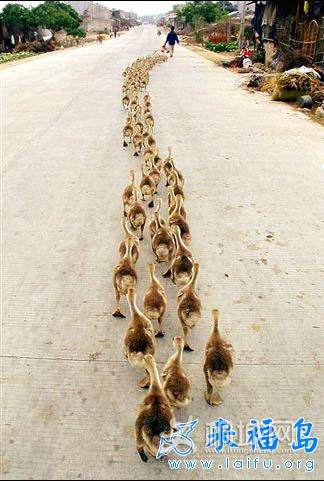 �����ٶ���֪��