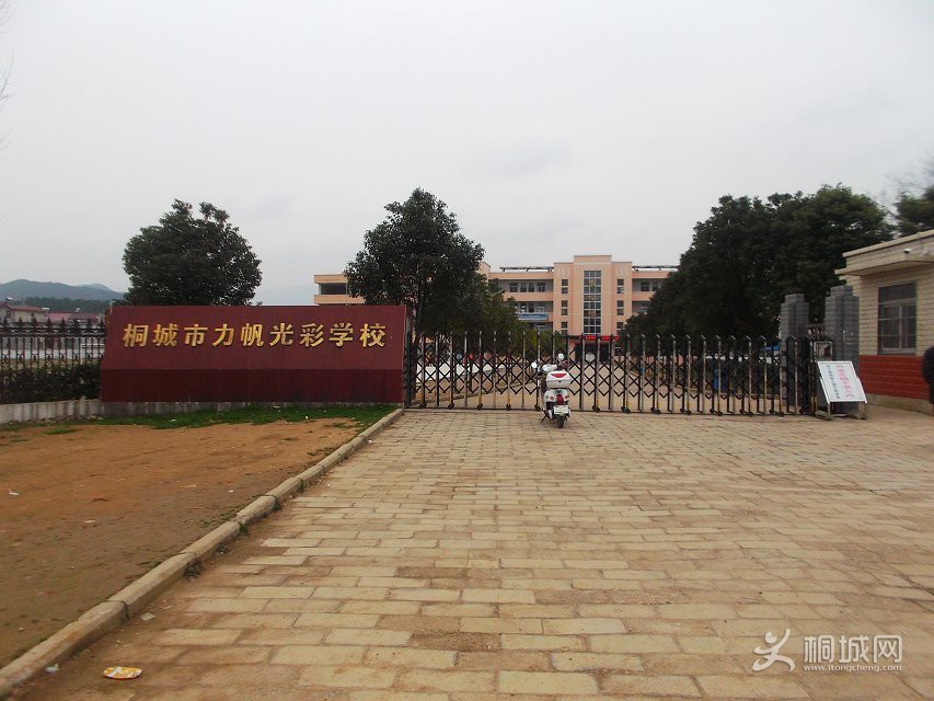 psb (9).jpg