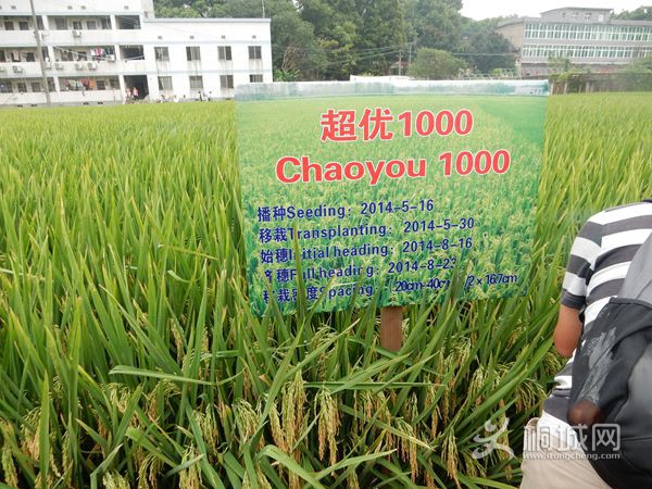 ͩ������Ա�μӹ���ˮ����Ʒ�ֿ����߳�����ѧ��������