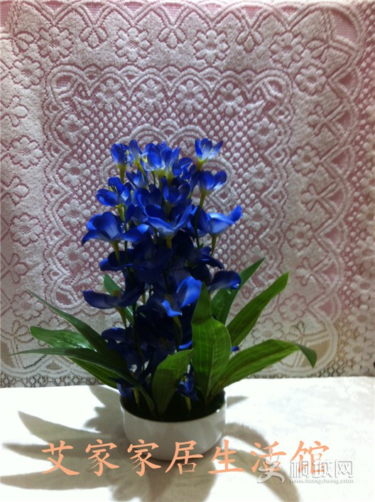 ͼƬ 017_����.jpg