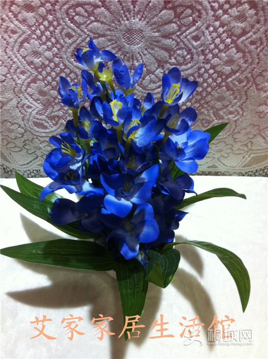 ͼƬ 018_����.jpg