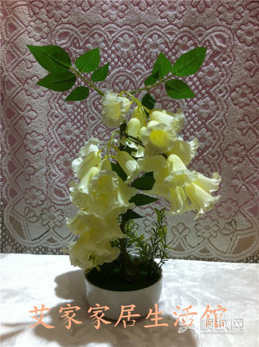 ͼƬ 019_����.jpg