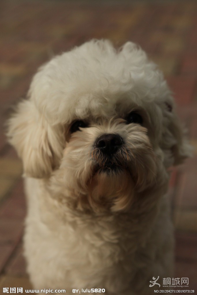 �������������