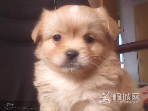 ��ඣ��Ҿ����뱻�����ı���