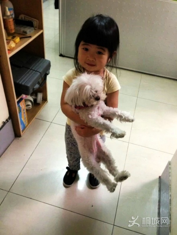 20140731120211_TCyrk.jpg