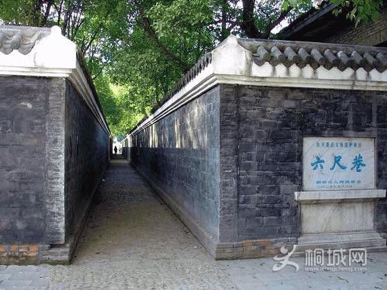 ͩ��������