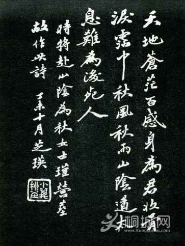 ֥鷨