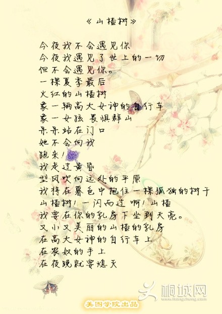 ӵľʫܴ