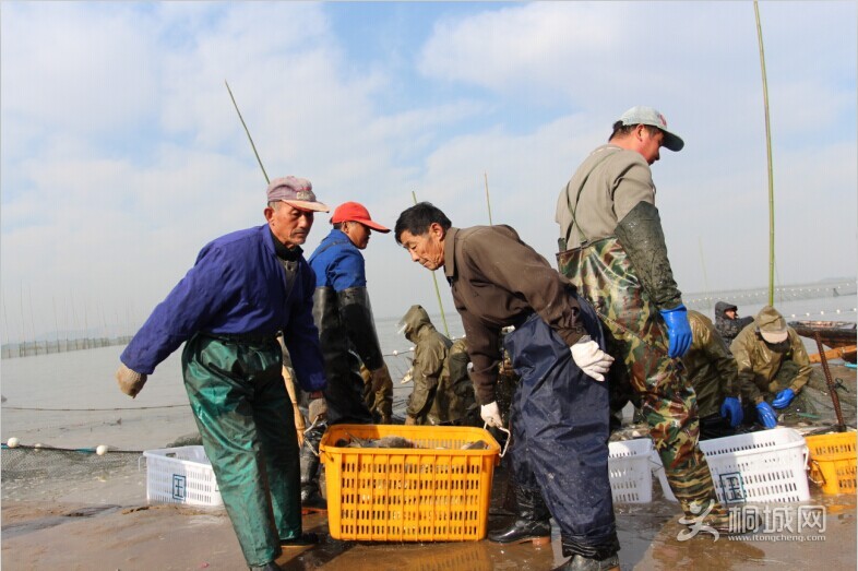 QQͼƬ20141206161458.jpg