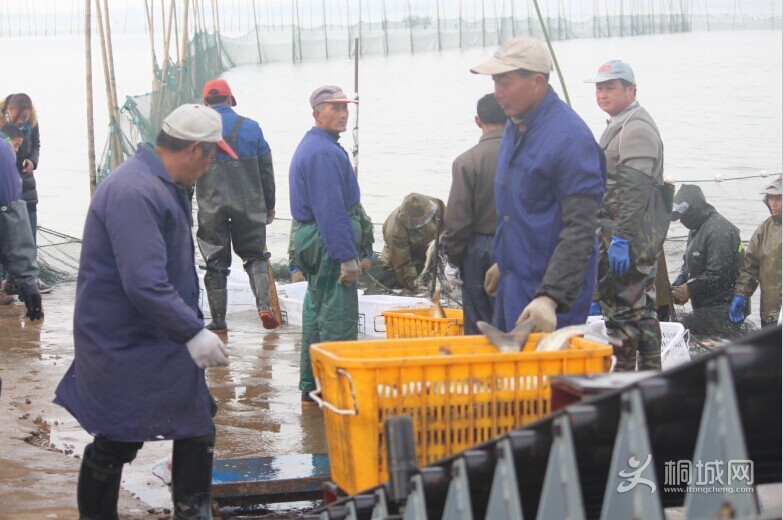 QQͼƬ20141206161641.jpg