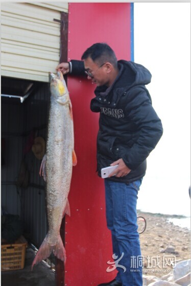 QQͼƬ20141206161907.jpg