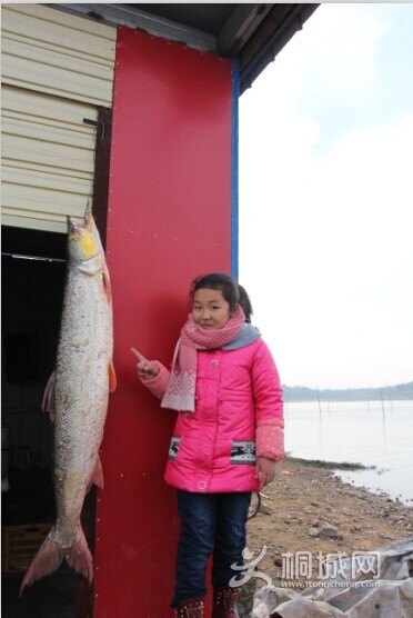 QQͼƬ20141206161937.jpg