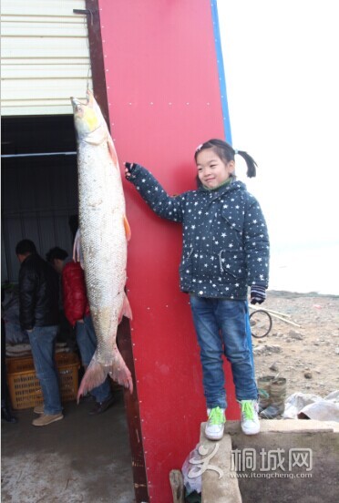 QQͼƬ20141206161922.jpg