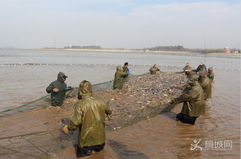 QQͼƬ20141206162006.jpg