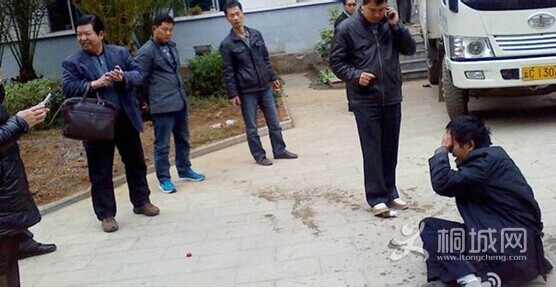 QQͼƬ20141215193349.jpg