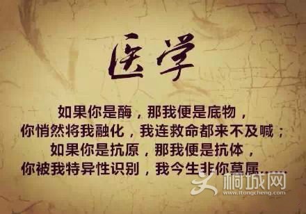 6BC7D6314E9B8EE538490E43031224CE.jpg