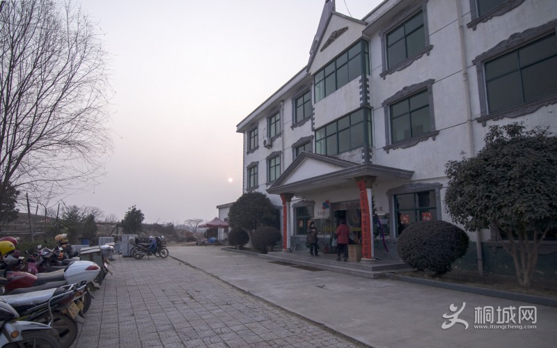 DSC_8828c2.jpg