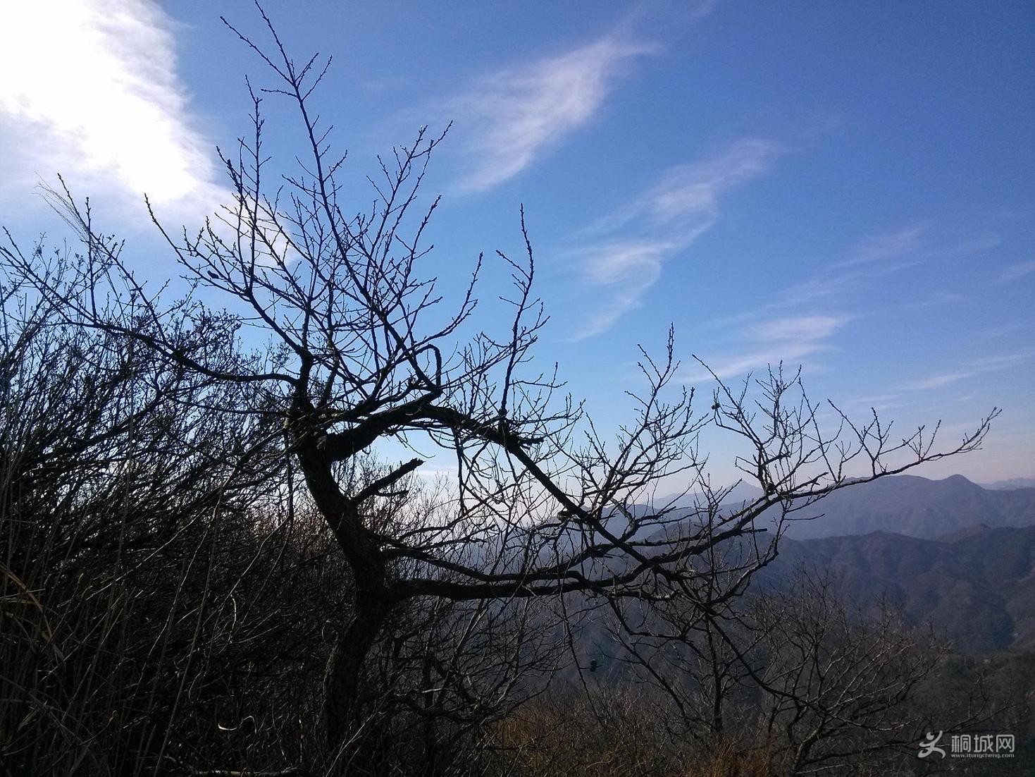 IMG_20150101_124654.jpg
