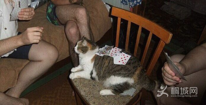 33.jpg