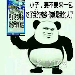 bf70adb5ce0a3bacf46c041625856770_b.jpg