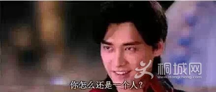 1.webp.jpg