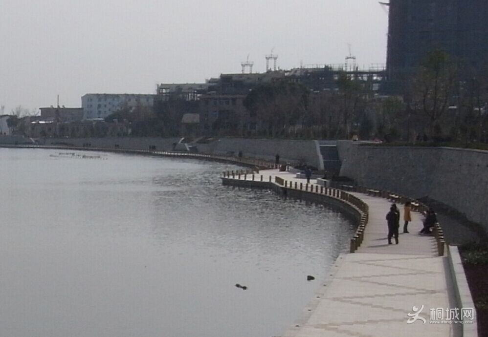 QQͼƬ20150123101927.jpg