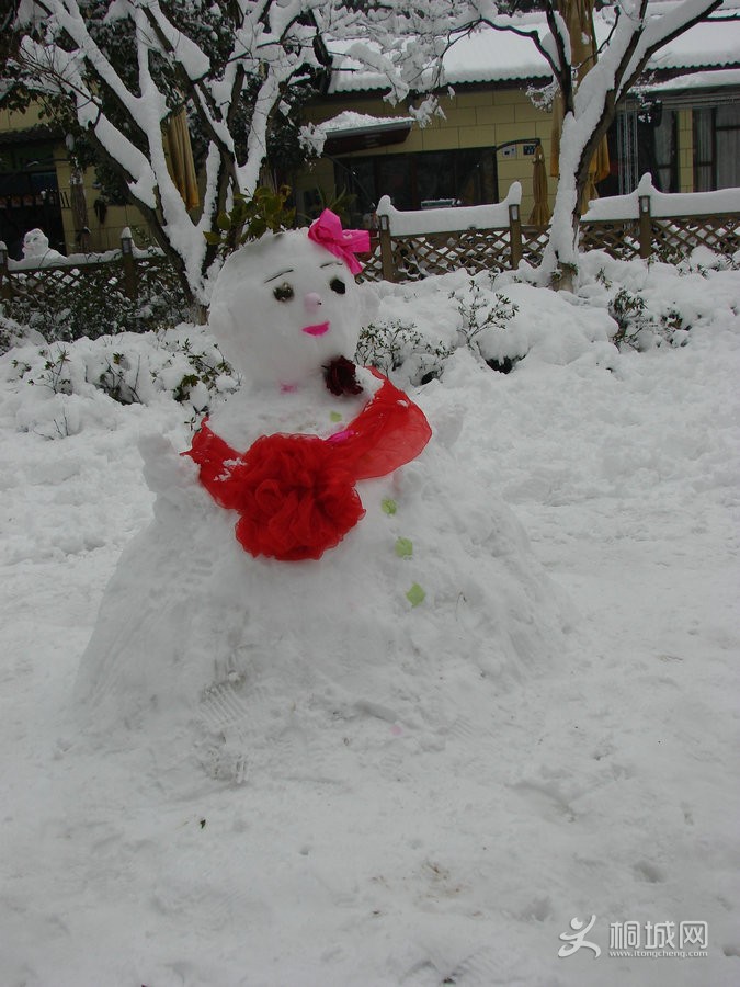200822202134147.jpg