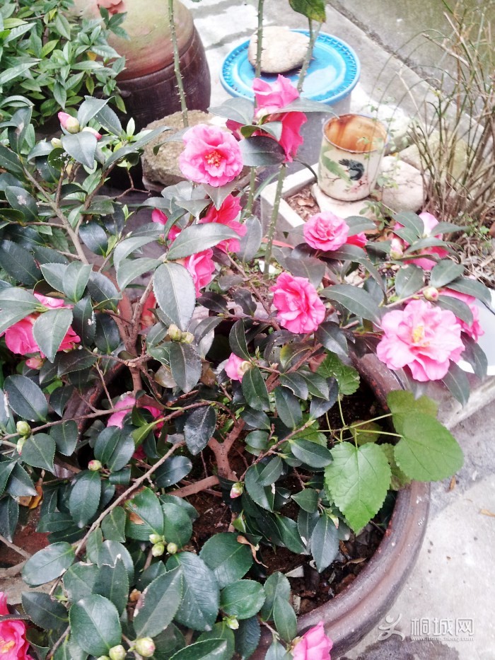 20141117_075134_conew1.jpg