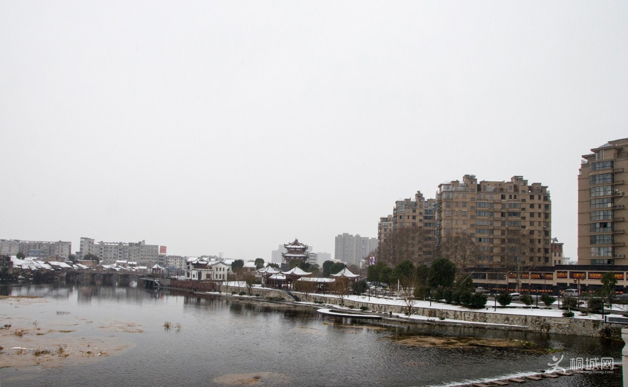 DSC_9102b2.jpg
