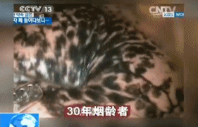 9e5389bbjw1eoy7r7sl8jg207t050dy3.gif