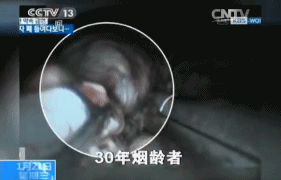 9e5389bbjw1eoy7r9f8yhg207t050qkj.gif