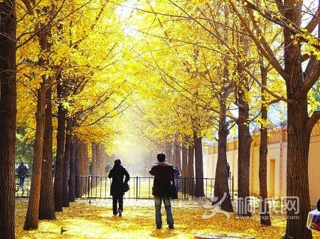 20111027142803_1176.jpg