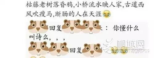 F37D7A33133921CC2F94924CB4A4DF3E.jpg
