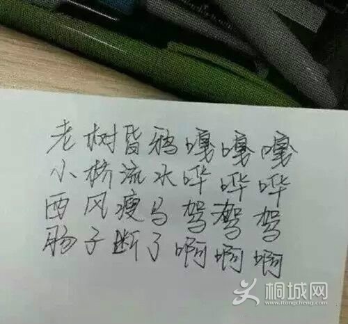 5DE518996CD7678A7F1A8D072D5F23A9.jpg