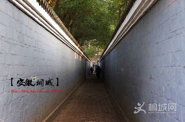 ͩ��������