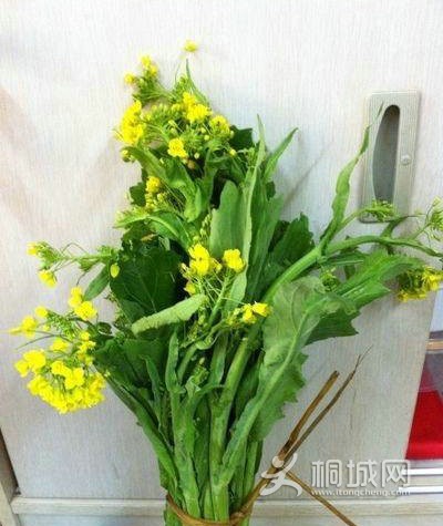 20120215_101757_45.jpg