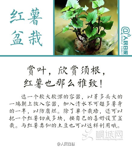 a716fd45jw1eq2m7tushsj20c80dqwgq.jpg