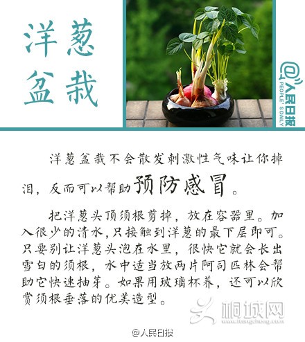 a716fd45jw1eq2m7tqbhhj20c80dqjtl.jpg