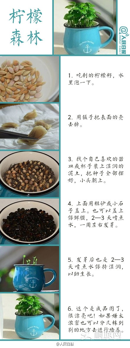 a716fd45jw1eq2m7u2fkcj20c80wlwjp.jpg